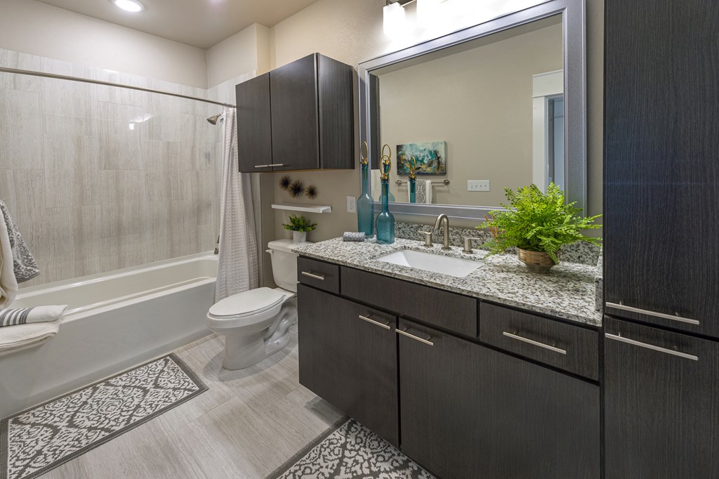 a bathroom with a sink and a toilet and a shower