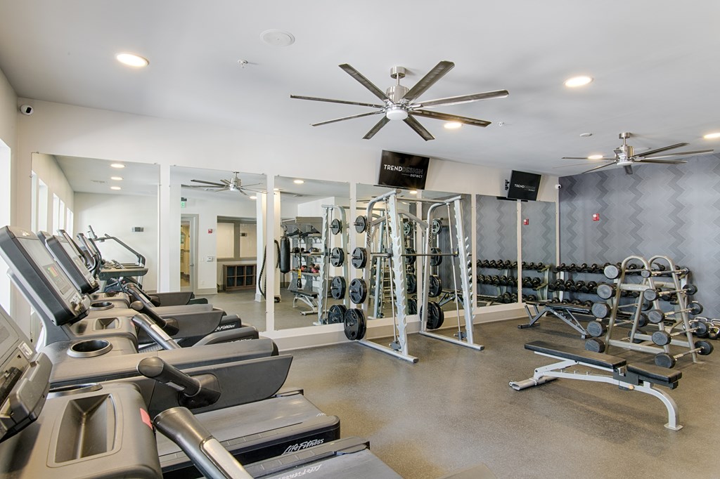 A gym with treadmills, weights, and exercise equipment.