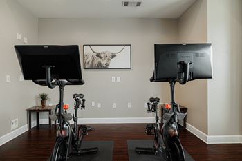 a home gym with exercise bikes and a bull painting on the wall