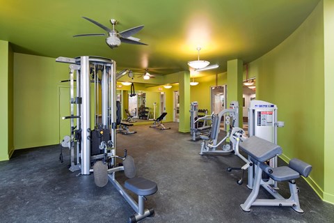 A gym with a variety of equipment including a weight bench, a squat rack, and a fan.