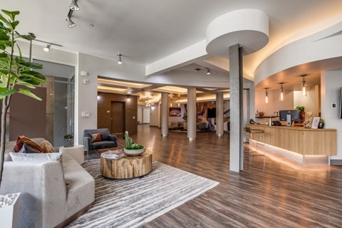 A modern living room with a grey sofa and a wooden coffee table.