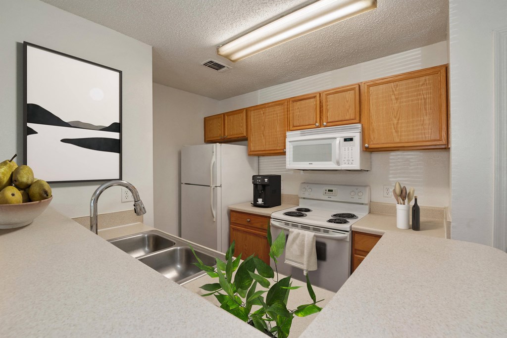 our apartments showcase a beautiful kitchen