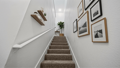 705 Village Way 1-2 Beds Apartment for Rent