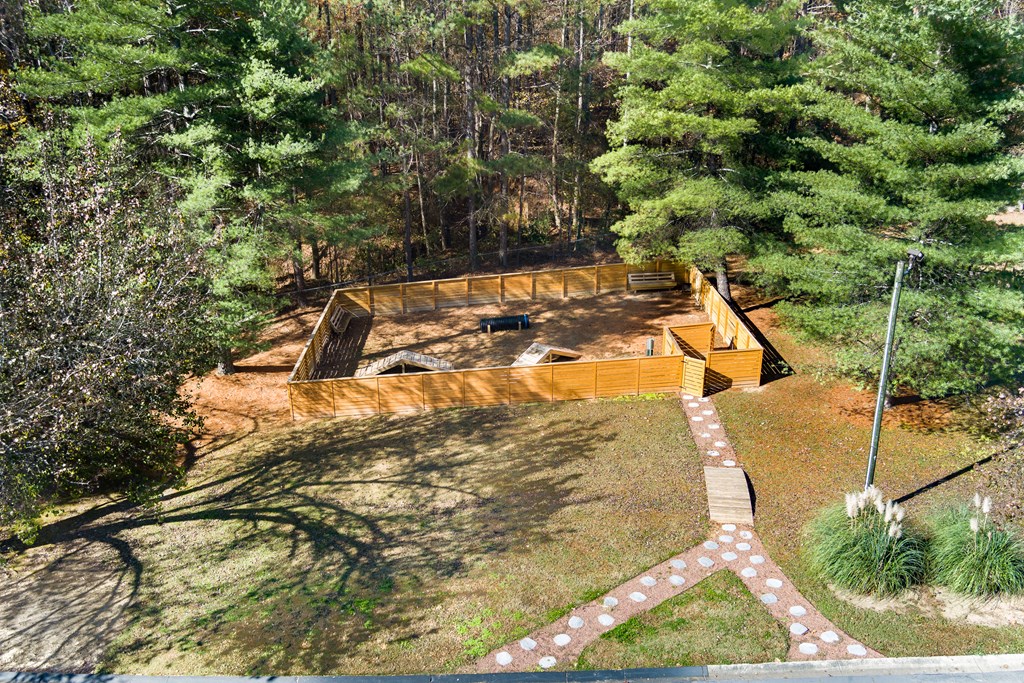 a house in the woods