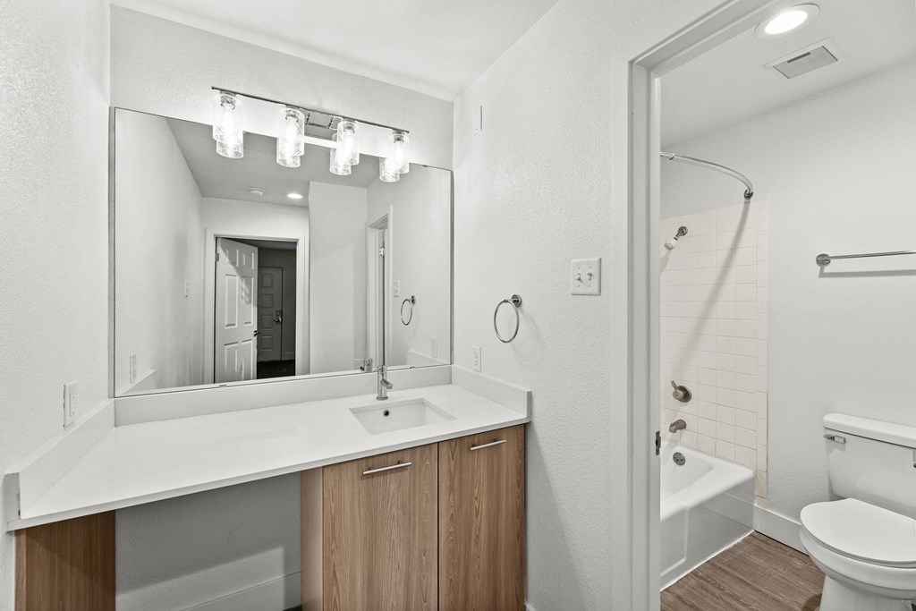 a bathroom with a sink and a mirror and a shower