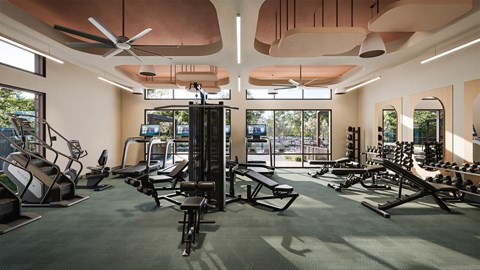 A gym with a variety of equipment including treadmills, weights, and a bench press.