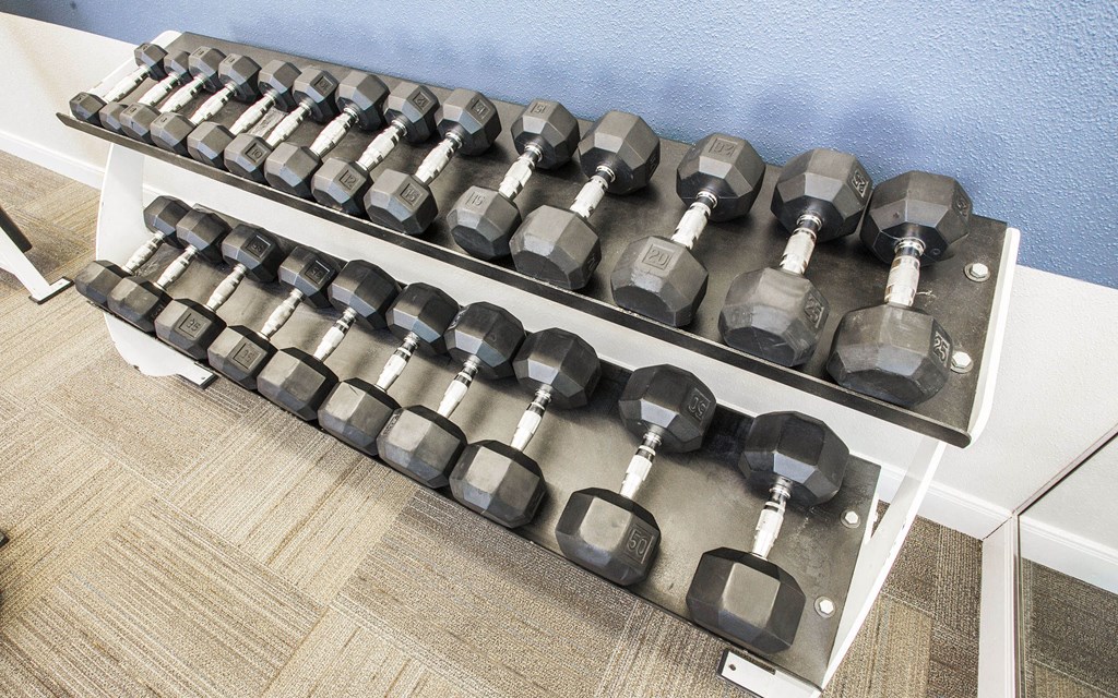 A rack of dumbbells is on a wooden floor.