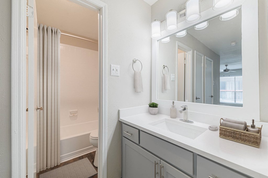 A bathroom with a white sink and a mirror above it.