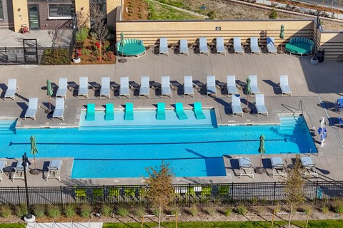 A large swimming pool surrounded by sun loungers.