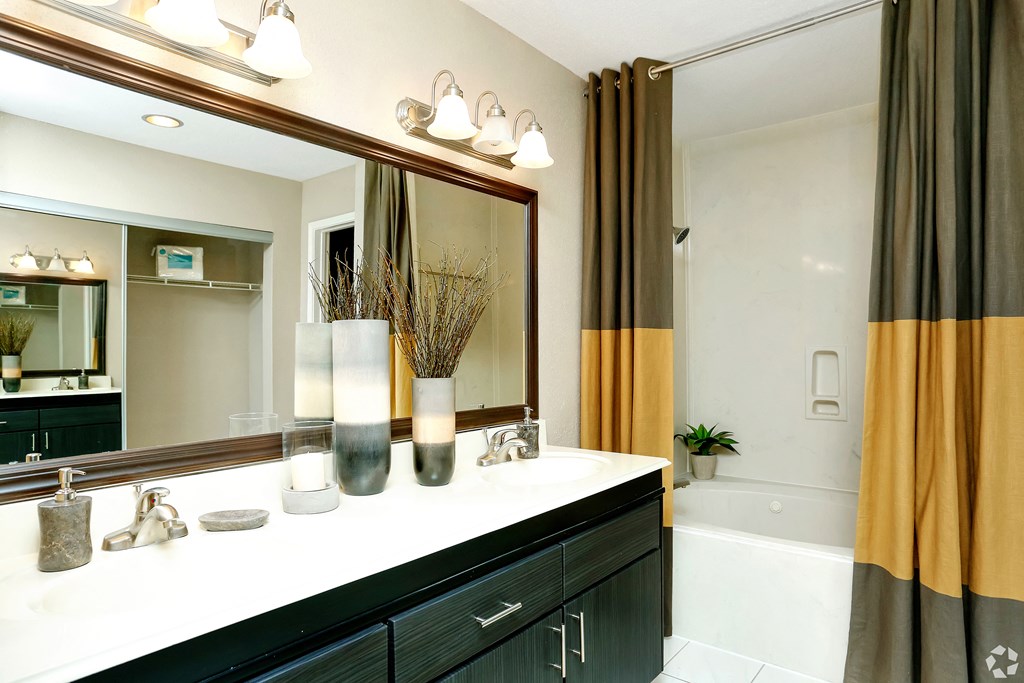 a bathroom with a sink and a mirror and a tub