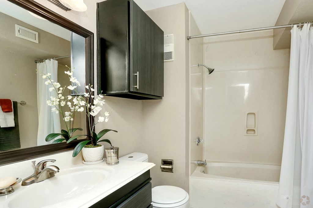 a bathroom with a sink and a mirror and a shower