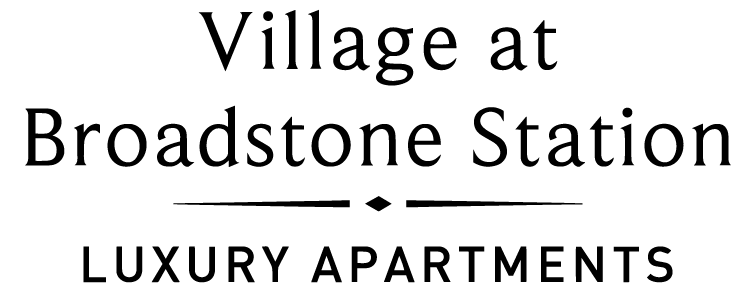 a clear black sky