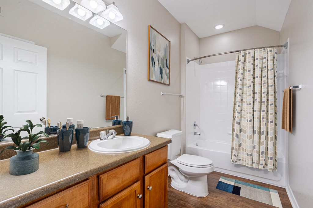 a bathroom with a shower toilet and sink and a mirror