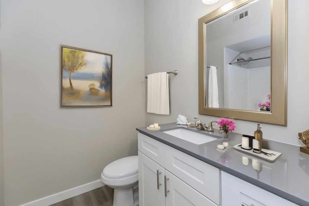 a bathroom with a sink and a mirror and a toilet