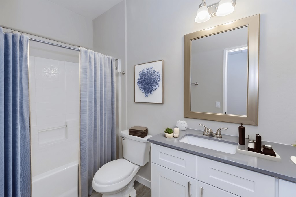 a bathroom with a shower and a toilet and a sink
