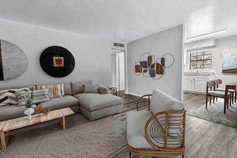 A living room with a grey sofa and a wooden chair.