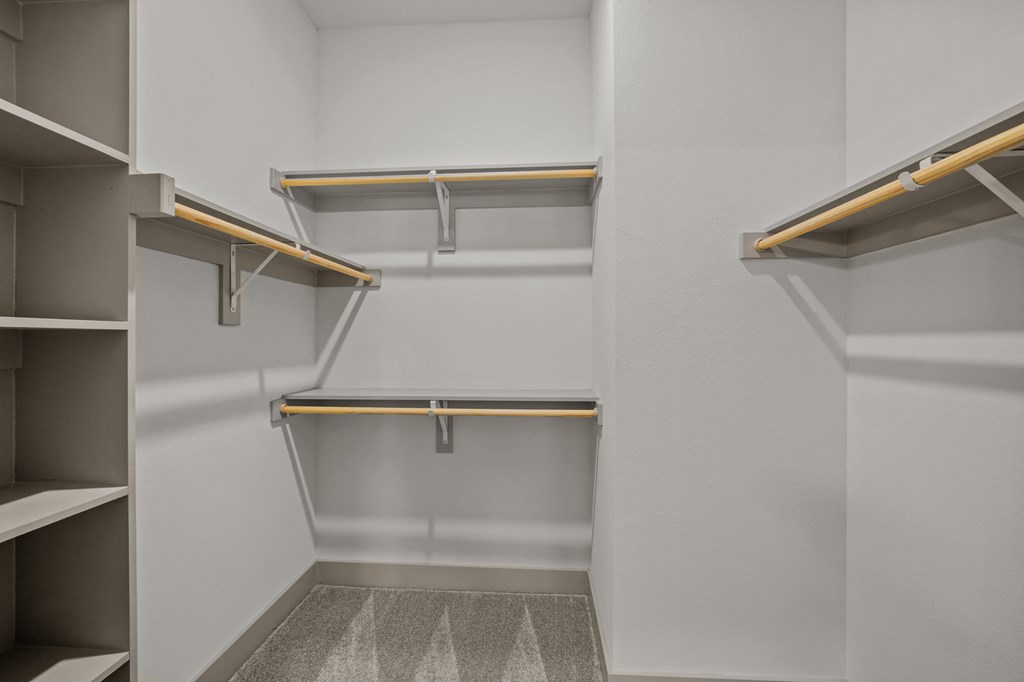 A white walk in closet with shelves and a carpeted floor.