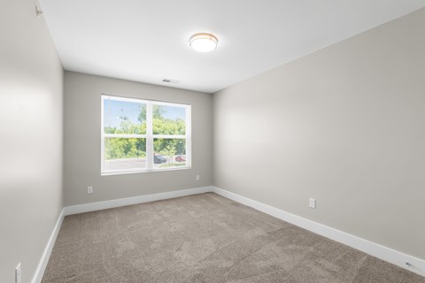 A room with a carpeted floor and a window showing a view of trees.
