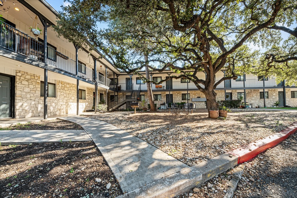 our apartments offer a courtyard with trees and seating