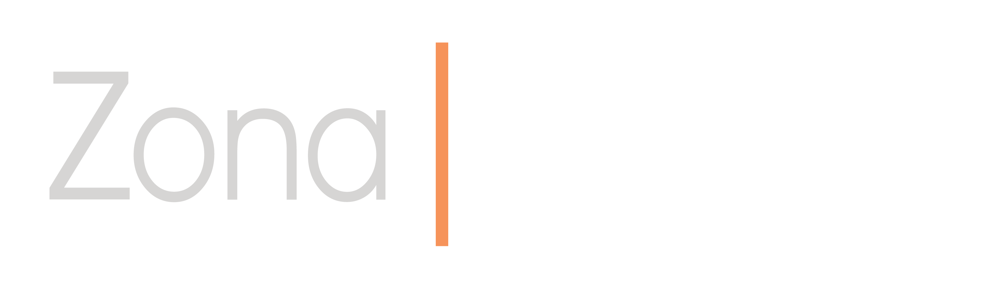 A logo with the words Zona Village separated by a vertical line.