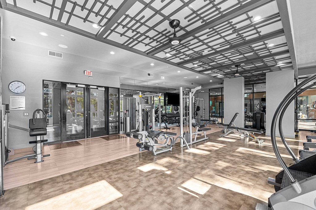 A gym with a variety of equipment including treadmills, weights, and exercise machines.