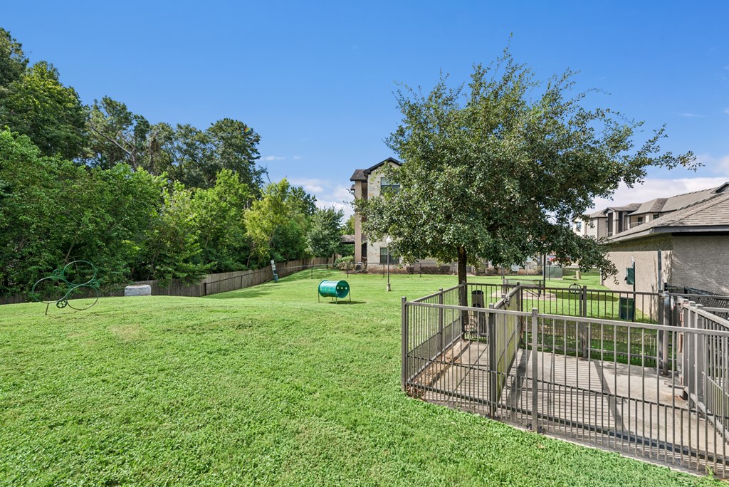 A green lawn with a fence and a tree in the foreground.