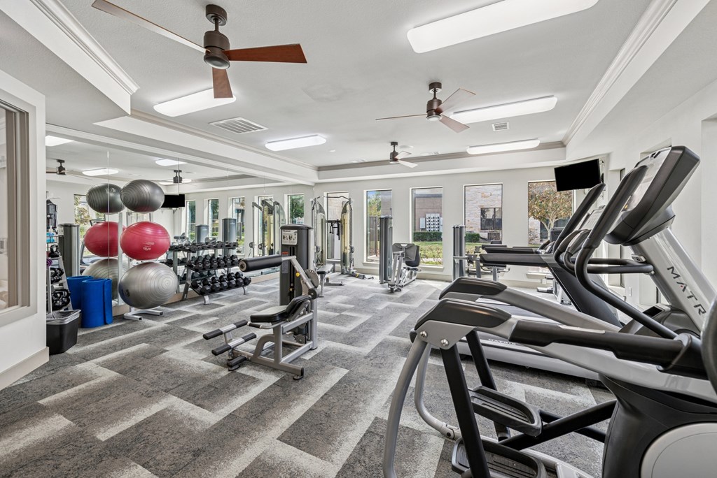 A gym with treadmills, weights, and exercise balls.