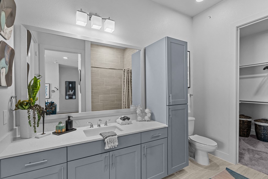 a bathroom with a sink and a mirror and a toilet