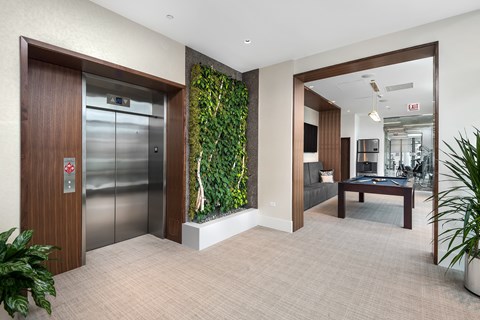 A modern office space with a green wall and a wooden door.
