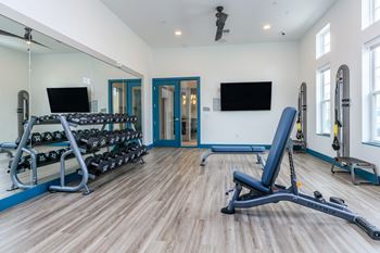 A gym with a row of dumbbells on a rack.