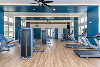 A gym with a variety of equipment including treadmills, weights, and a fan.