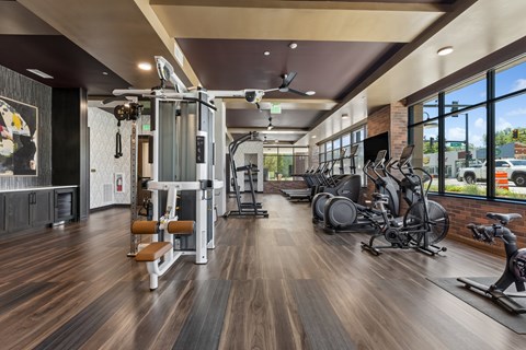 A gym with a variety of equipment including treadmills, weights, and a rowing machine.