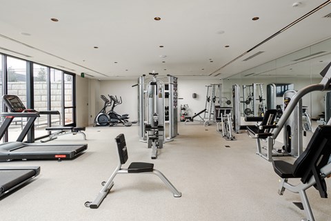 a gym with cardio equipment and weights on the floor