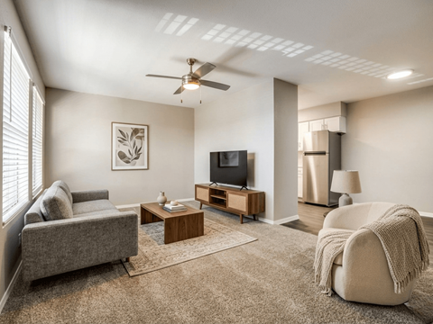 A living room with a grey couch, a coffee table, a television, and a ceiling fan.