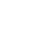 A logo with a green background that says "Village at Collinwood".
