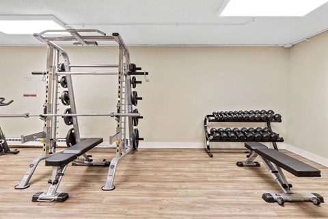 A gym with a squat rack, bench, and weights.