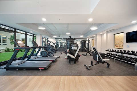 A gym with treadmills, weights, and exercise equipment.