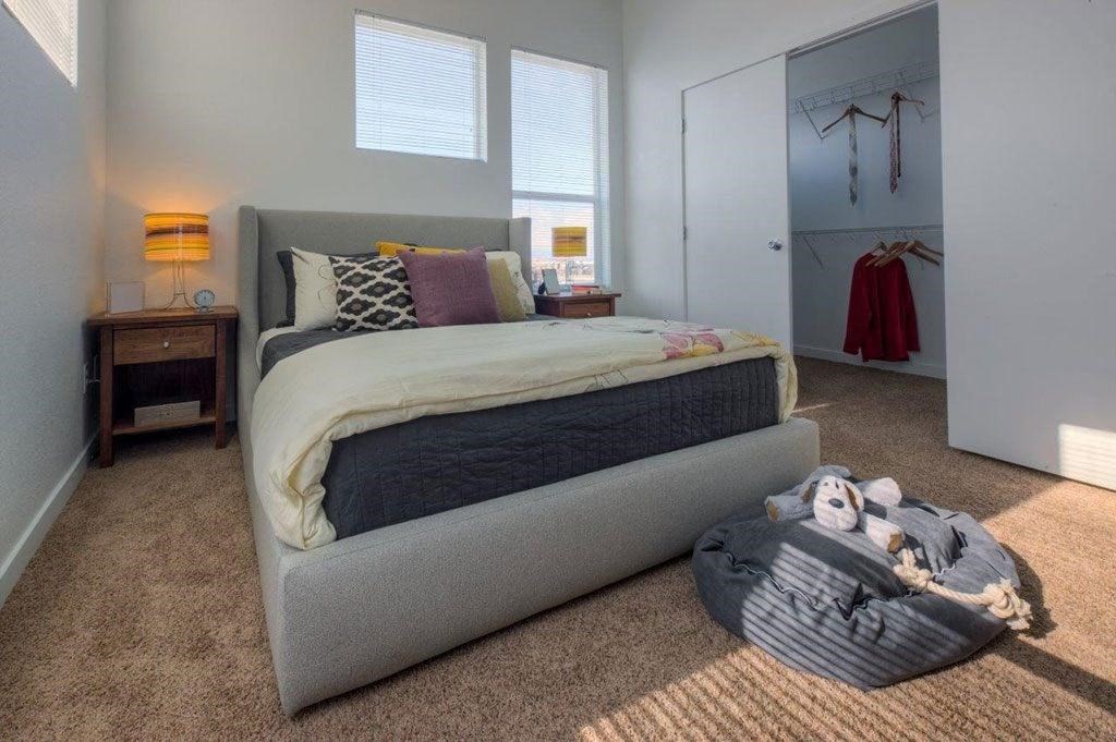 a bedroom with a bed and a closet