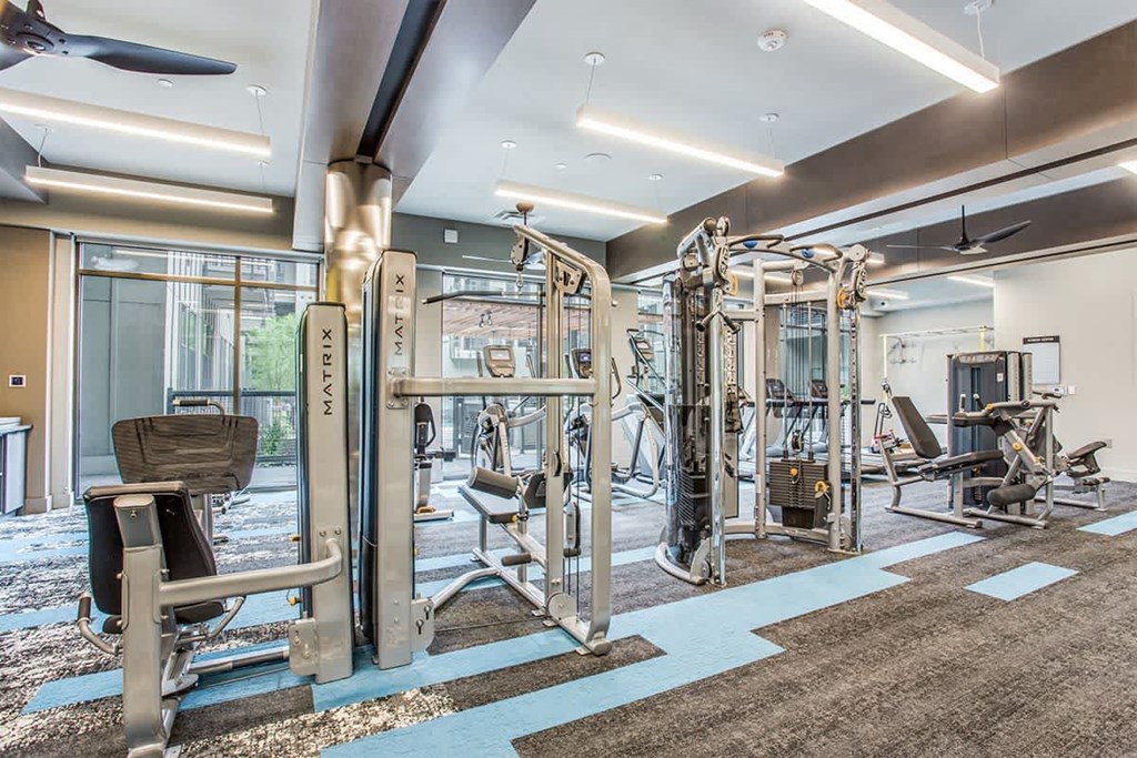 A gym with a variety of equipment including a squat rack, a bench, and a weight machine.