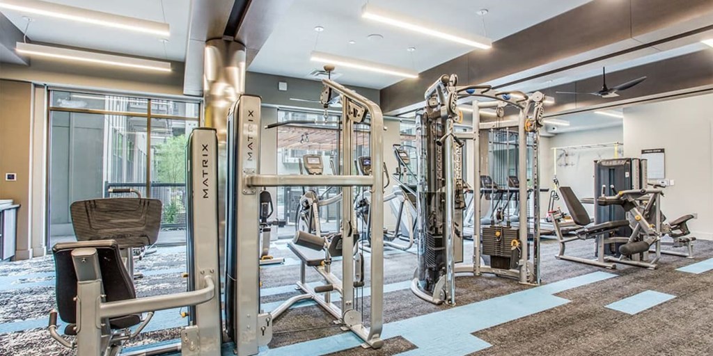 A gym with a variety of equipment including a squat rack, a leg press machine, and a bench press.
