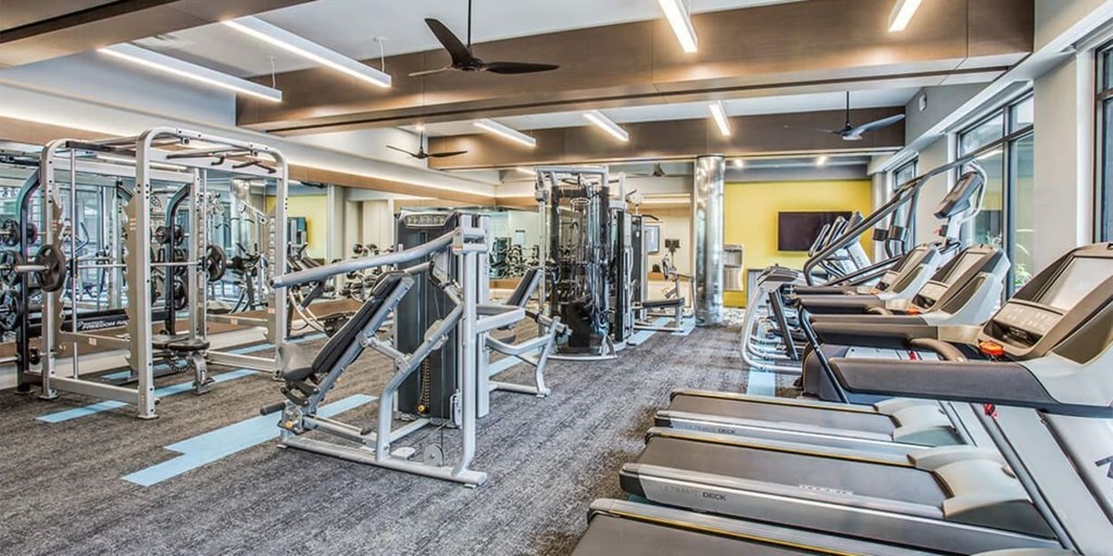 A gym with treadmills, weights, and a fan.