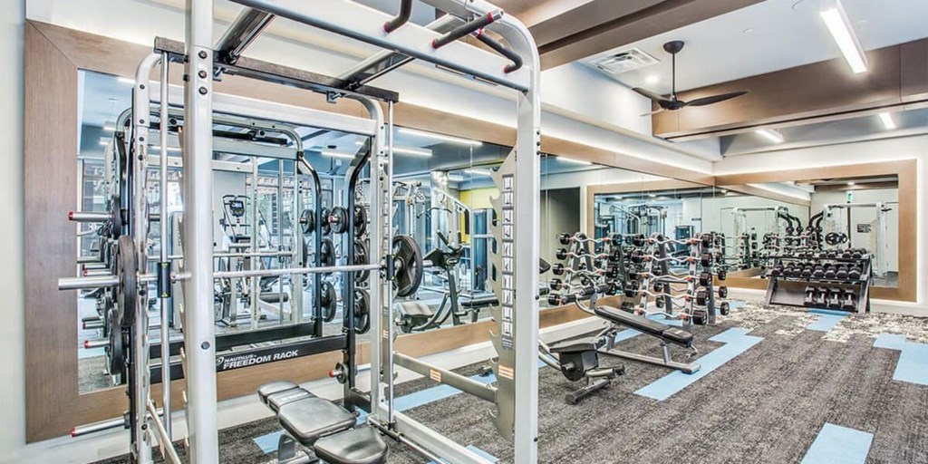 A gym with a variety of equipment including a squat rack, bench press, and a rowing machine.