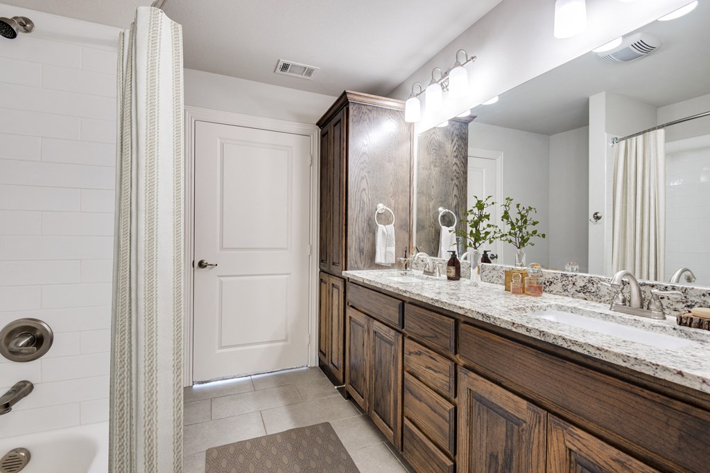 a bathroom with a sink and a mirror and a shower