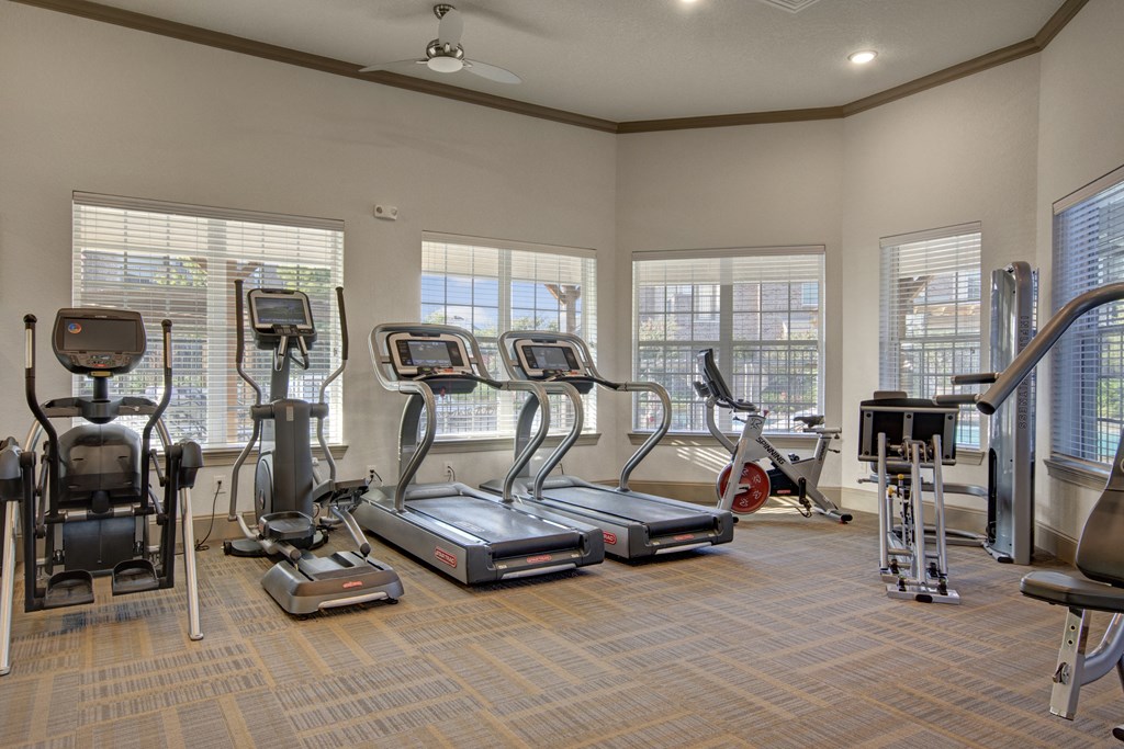 Fitness Center Cardio Equipment