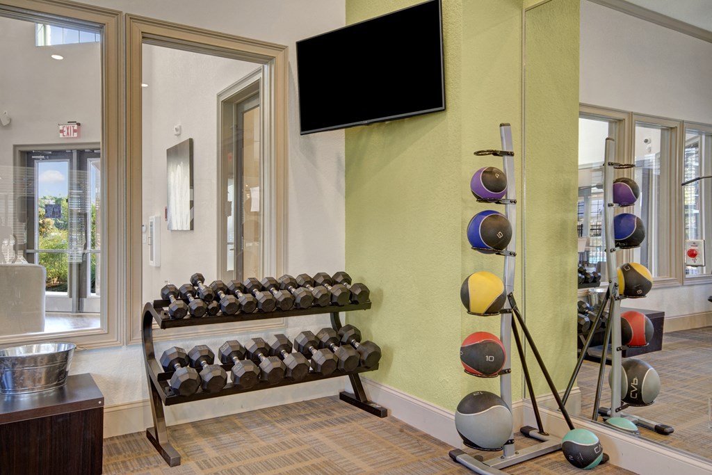 Fitness Center Free Weights