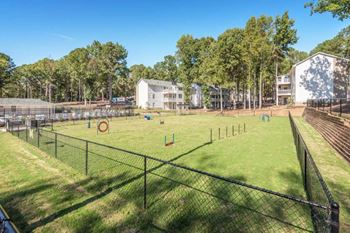 Legacy Six Forks Dog Park