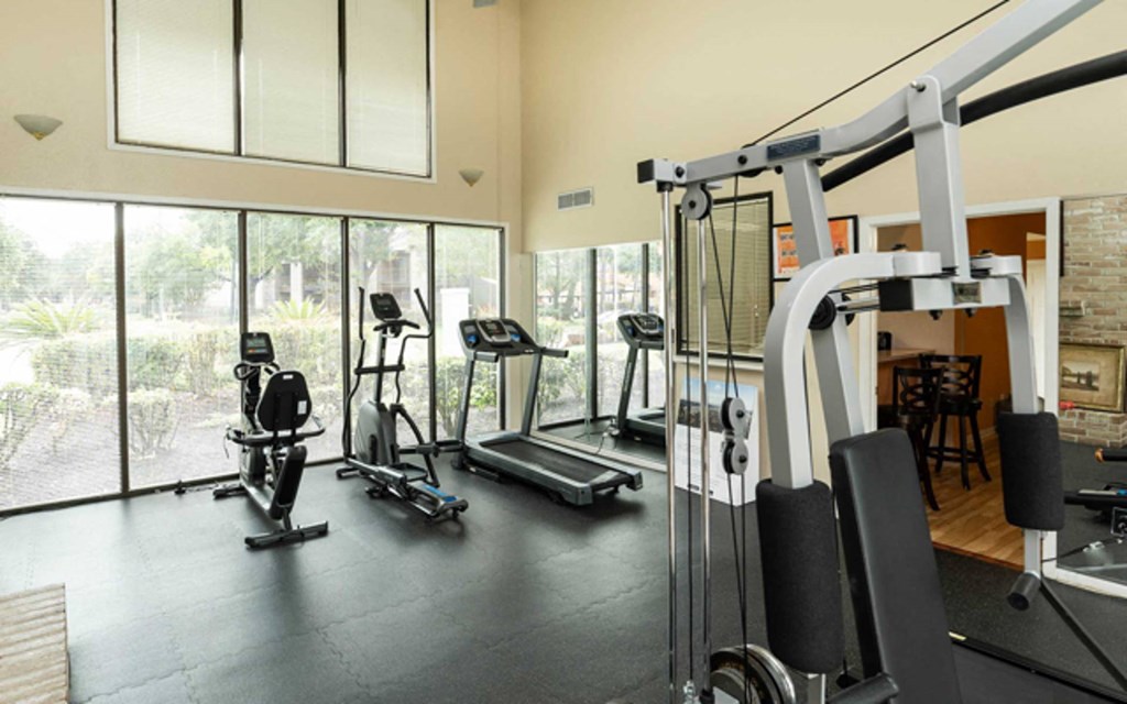 a gym with cardio equipment and large windows