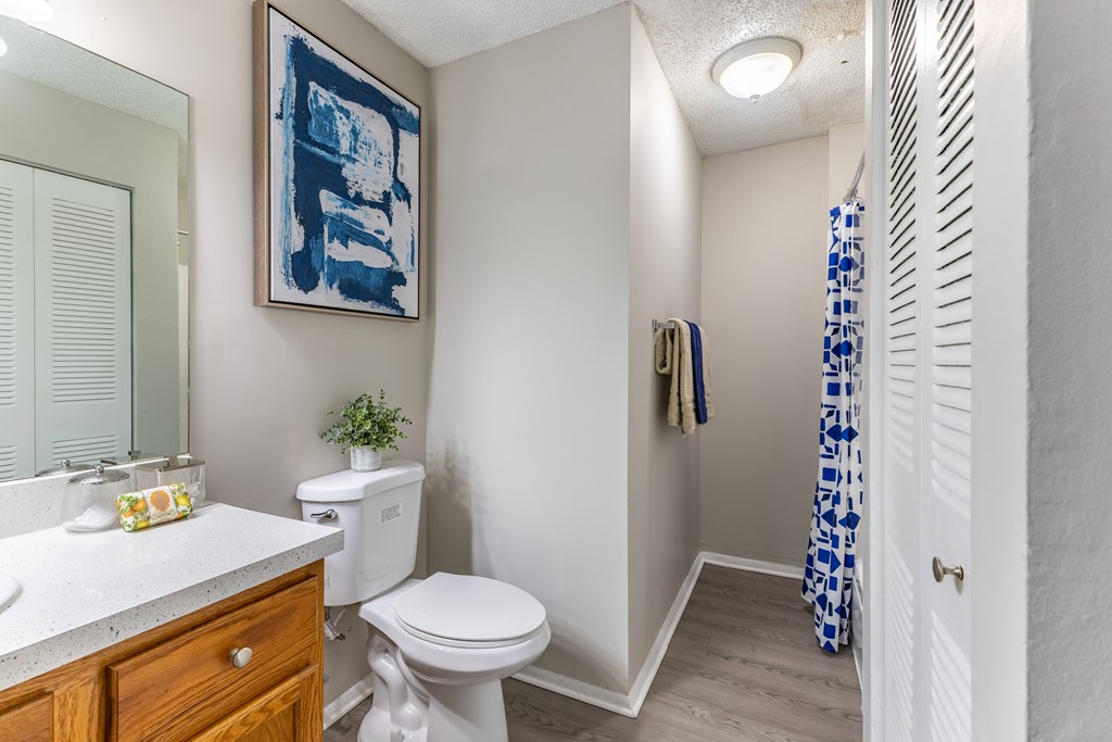 A bathroom with a toilet, sink, and a blue and white shower curtain.