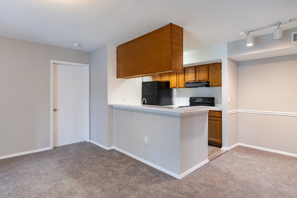 A kitchen area with a counter and cabinets.