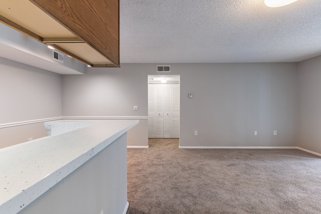 A room with a white counter and a carpeted floor.